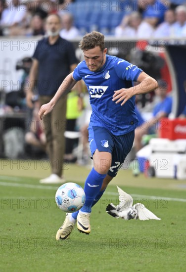White pigeon on the pitch, grass, being harassed by Jacob Bruun Larsen TSG 1899 Hoffenheim (29) curious, PreZero Arena, Sinsheim, Baden-Württemberg, Germany
