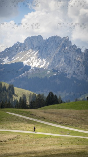 A serene scene in the district of Gruyere, showcasing a distant hiker in Jaun, with the rugged peaks of the Gastlosen mountain range forming a majestic background on a spring day