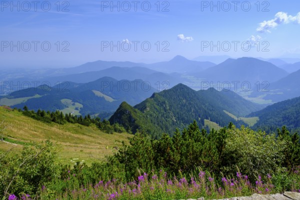 View from the summit, am Hochfelln, near Bergen, Chiemgau, Upper Bavaria, Bavaria, Germany