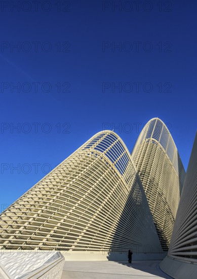 Zayed National Museum in Abu Dhabi, memorial to the late Zayed bin Sultan Al Nahyan, the museum is the heart of the cultural district on Saadiyat Island, architecture on the roof of the museum, Abu Dhabi, United Arab Emirates