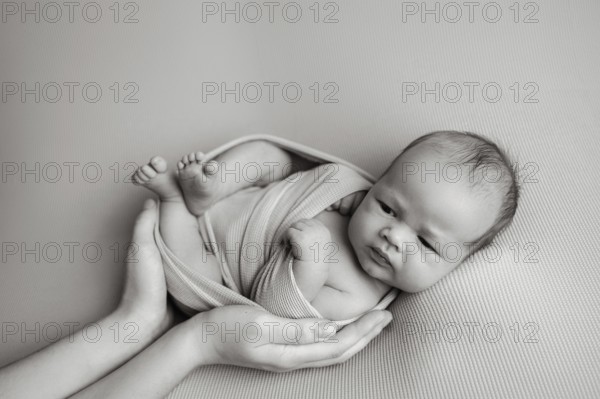 Cropped unrecognizable parent hands holding of a newborn baby securely . The baby appears calm and is wrapped in a light fabric, with a slight frown, providing a serene and tender moment captured in monochrome