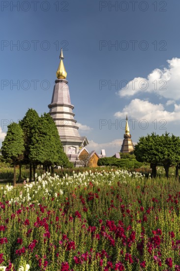 Chedis of the royal pagodas Phra Maha Dathu Nabha Metaneedol and Nabhapol Bhumisiri in Doi Inthanon National Park near Chom Thong, Chiang Mai, Thailand