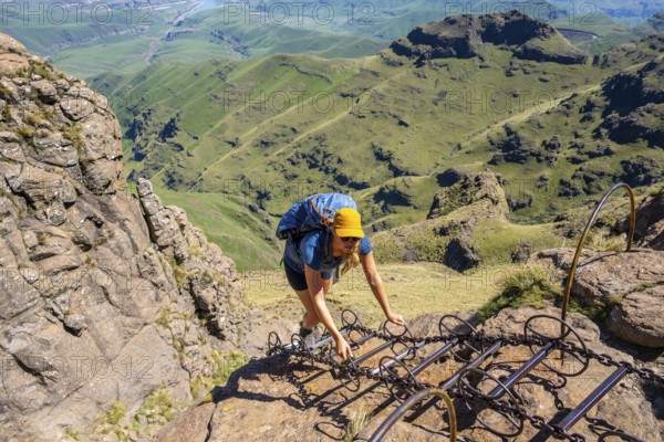 Young female hiker climbs over dangerous ladders, mountains and cliffs of the Drakensberg Mountains, Sentinel Hiking Trail, Drakensberg Mountains, KwaZulu-Natal, South Africa