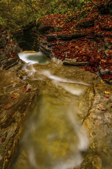 Autumn atmosphere at the Kolomanbach, Seewaldsee nature reserve, ST. Koloman, ÔøOstereich