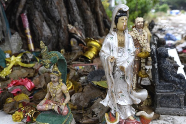 Bangkok, Thailand. February 19th 2025. Buddhist offerings under a tree in the Khlong Toei Market, Bangkok. Thailand