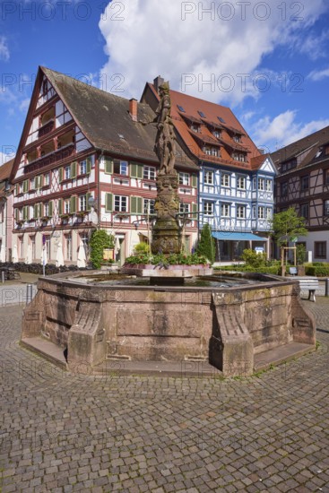 Market fountain with half-timbered houses in Gengenbach, Black Forest, Ortenaukreis, Baden-Württemberg, Germany