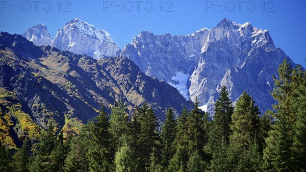 Majestic snow-capped mountain range behind green forests under blue sky, hiking to Chalaadi Glacier, Mestia, Svaneti, Georgia