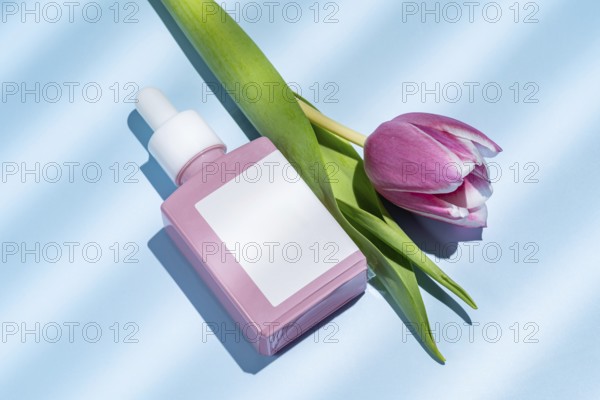 Top view showcasing a skincare serum and a pink tulip placed elegantly on a blue background