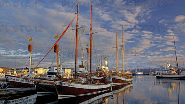 Europe, Scandinavia, Iceland, sailing ship in the port of Husavik