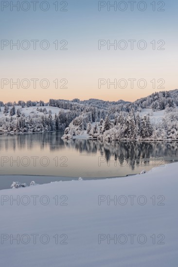 Dawn and sunrise at the wintry Forggensee in a snow-covered winter landscape in the foothills of the Alps in the Allgäu in Bavaria, Germany