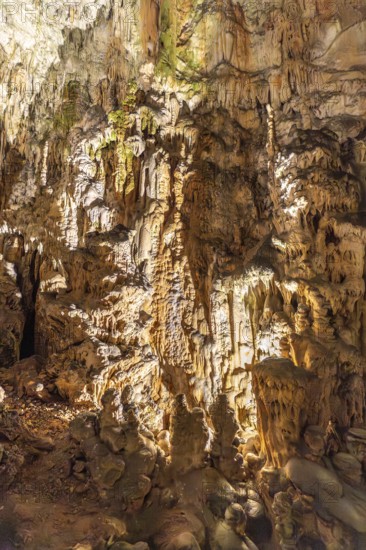 Breathtaking view of illuminated stalactites and stalagmites formations inside postojna cave, a famous tourist attraction in slovenia