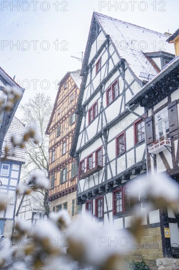 Traditional half-timbered houses covered in snow in a wintry setting, Sindelfingen, Germany