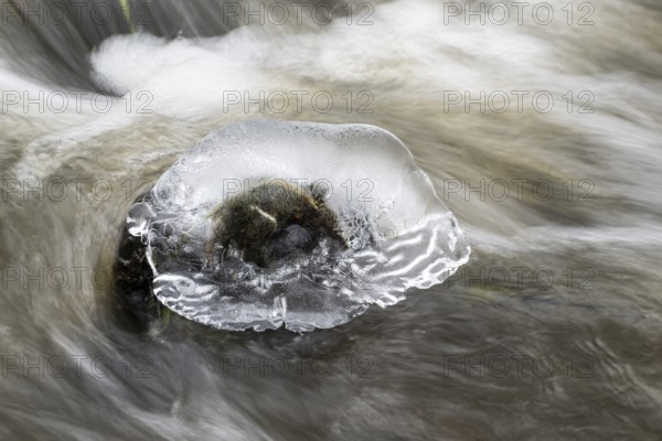 Natural ice sculptures on a stream, Emsland, Lower Saxony, Germany