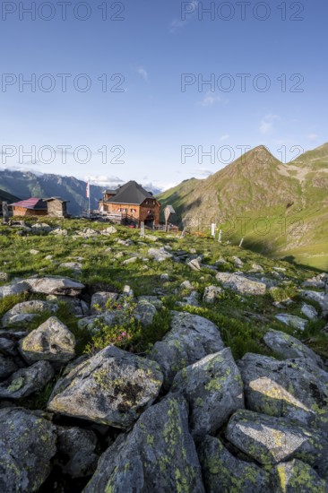 Mountain hut Lasörlinghütte in the evening light, mountain landscape with alpine roses, Lasörlinggruppe, Hohe Tauern, East Tyrol, Tyrol, Austria