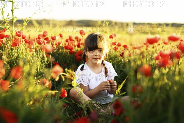 A charming young girl with braided hair sitting amongst blooming Papaver rhoeas, commonly known as common poppy and red poppy, during a serene sunset