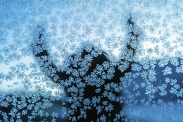 A captivating silhouette behind a frosty glass in Swedish Lapland, showcasing intricate ice crystal patterns on glass surface