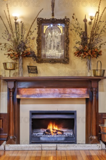 Ballsaal, Schornstein, Larnach Castle, Dunedin, Neuseeland