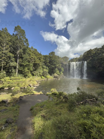 Rainbow Falls waterfall (Waianiwaniwa) amidst lush trees under blue sky with cloudy water, Wipekakoura River, Kerikeri, North Island, New Zealand, Oceania