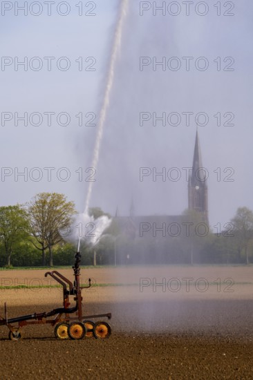 Artificial irrigation of a field, freshly sown, in April, with a sprinkler system, long drought in spring makes this necessary so that the young plants grow well, near Kerken, the church of St Peter and Paul in Aldekerk, Lower Rhine, North Rhine-Westphalia, Germany
