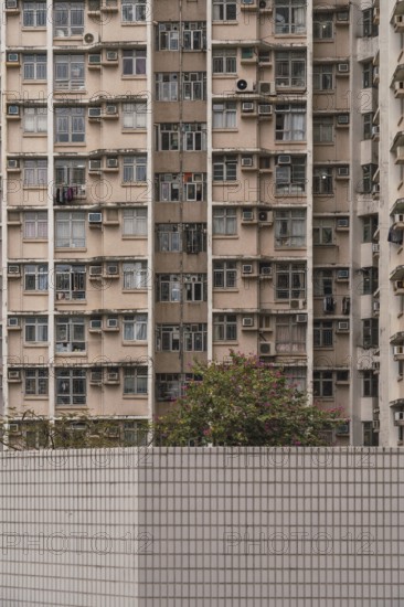 A close-up view of a densely packed residential building in Hong Kong, illustrating urban living with numerous windows, balconies, and air conditioners, with greenery in the foreground