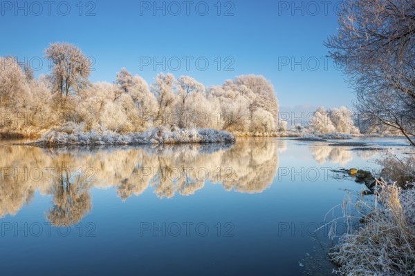 Landscape on the river Eder in winter, trees covered with hoarfrost, reflection in water, near Bad Wildungen, Hesse, Germany