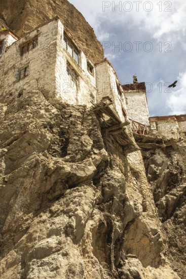 Phugtal Monastery, set against dramatic cliffs in the remote Lungnak Valley, Ladakh, India, captures the serene beauty of Buddhist architecture and spiritual tranquility