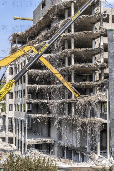 Construction site on Haroldstraße, demolition of a former office building, after complete gutting only the concrete parts remain, large excavator with cutting pliers cuts up concrete parts, steel wire, Düsseldorf, North Rhine-Westphalia, Germany