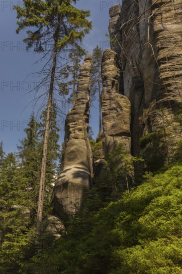 Adršpach-Teplice Rocks on a sunny day, Dolní Adršpach, 549 57 Adersbach, CZ