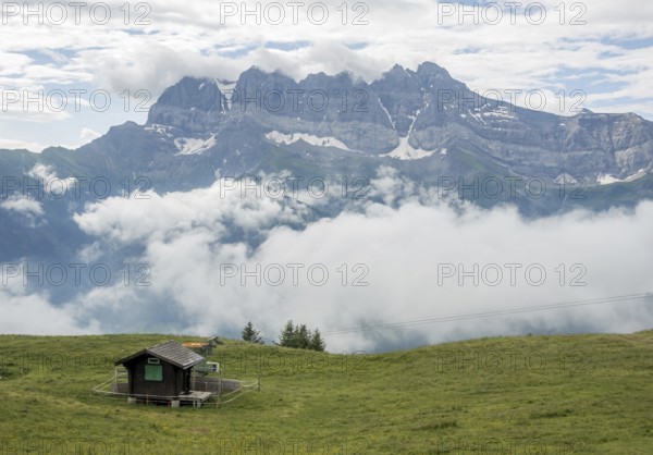 A serene view of a small cabin in a lush green meadow overlooking the Les Dents du Midi mountain range, shrouded in clouds