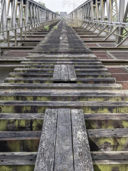 Abandoned railway bridge over the Elbe near Barby, lost place, steel truss bridge from the 1870s on the so-called cannon railway from Berlin to Metz, Barby, Saxony-Anhalt, Germany