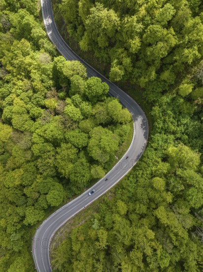 Winding country road through a forest, Swabian Alb in spring, drone photo, Gutenberg, Lenningen, Baden-Württemberg, Germany