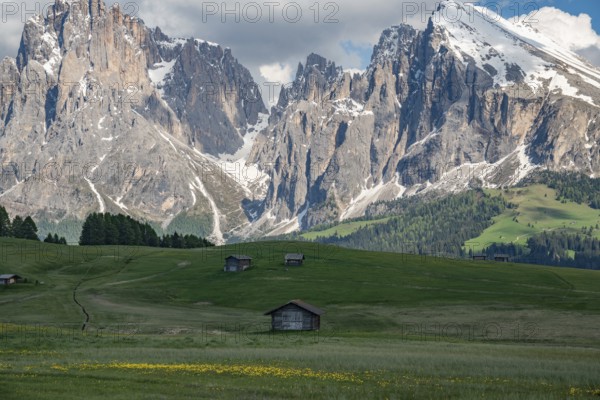 Charming wooden huts scattered across lush green meadows in Alpe di Siusi, with the dramatic peaks of the Dolomites towering in the background