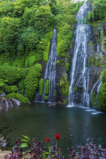 Banyumala twin waterfalls, waterfall, jungle, rainforest, water, nature, botany, holiday, paradise, nobody, landscape, tourism, travel, Bali, Indonesia