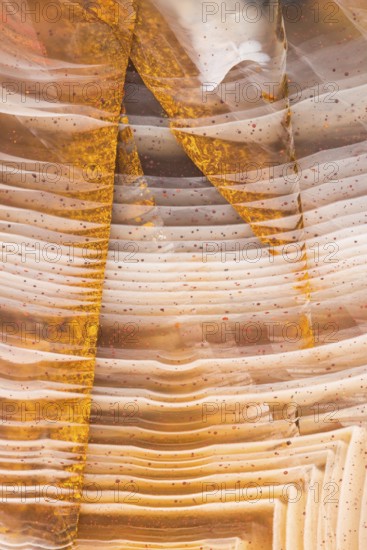 Close-up macro shot of Pilbara agate from Western Australia, showcasing its warm orange, cream, and brown hues with intricate banding and translucent layers filled with fine inclusions