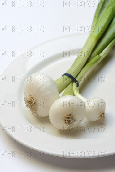 Onion, spring onions on a plate