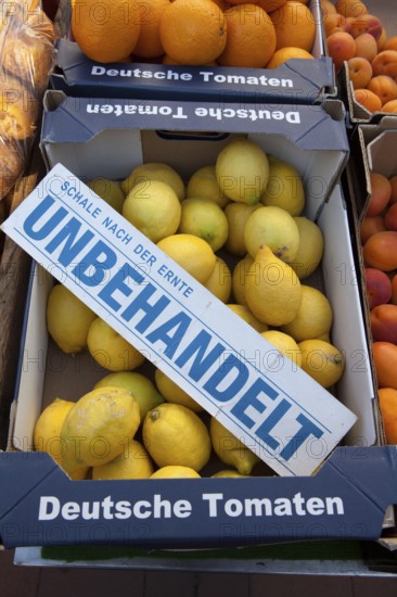 Untreated Lemons at a marketstall, Hanover, Lower Saxony, Germany, Europe, unbehandelte Zitronen an einem Marktstand, Hannover-Linden, Niedersachsen, Deutschland, Europa