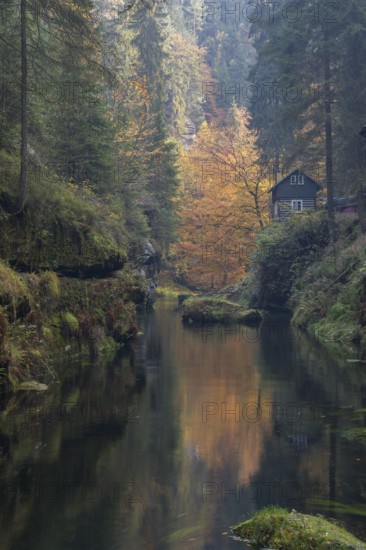 Log house and flowing water with ferns and rocks in the Edmunds Gorge in autumn. River Kamnitz, Hrensko, Ustecky kraj, Czech Republic