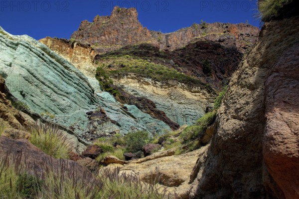 Canary Islands, Gran Canaria, Azulejo Landscape near Veneguerra, Gran Canaria, Canary Islands, Spain