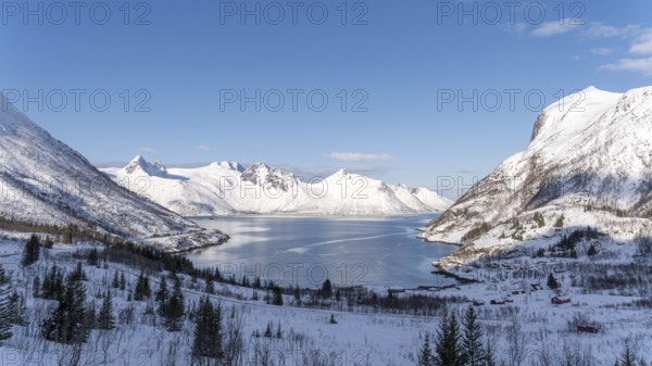 Snow-covered mountains surround a serene fjord under a clear blue sky in Mefjordbotn, Norway. The winter landscape is dotted with pine trees and traditional red cabins, offering a picturesque scene