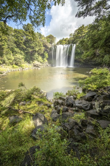 Waterfall of Rainbow Falls flowing into a river in dense forest, Kerikeri, New Zealand, Oceania