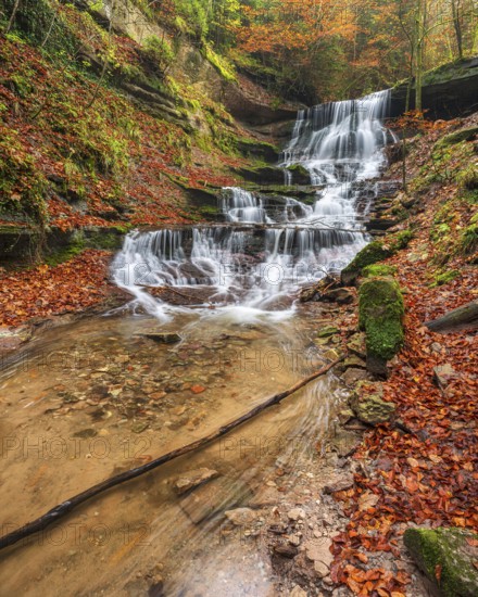 The back waterfall of the Hörschbach in autumn, Hörschbachtal, Hörschbachschlucht, Swabian-Franconian Forest nature park Park, Baden-Württemberg, Germany
