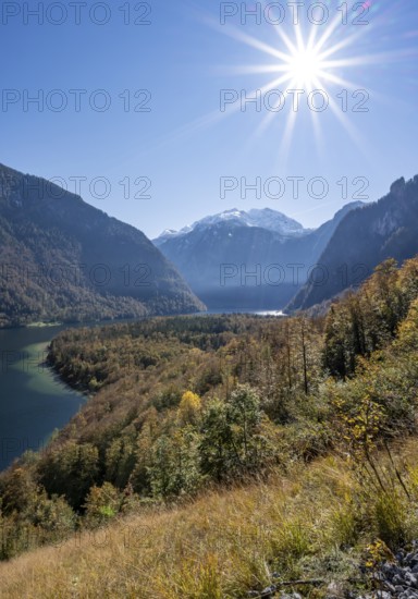 View of the Königssee from the Rinnkendlsteig mountain hiking trail, autumnal forest and snow-covered mountains, Sonnenstern, Berchtesgaden National Park, Berchtesgadener Land, Upper Bavaria, Bavaria, Germany