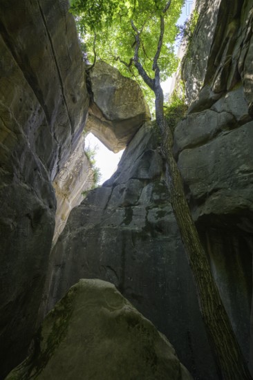 Trapped boulder in the Jardin du Roi, Grés d'Annot sandstone labyrinth hike, Alpes-de-Haute-Provence, France