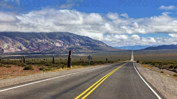 Long road leads through a desert-like landscape with mountains and cacti under a cloudy sky, The landscape of the Quebrada with its large cacti near Salta in Argentina, Cardón cactus (Echinopsis atacamensis)
