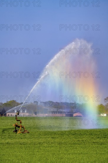 Artificial irrigation of a cereal field in April, with a sprinkler system, long dry spell in spring makes this necessary for the young plants to grow well, Kerken, Lower Rhine, North Rhine-Westphalia, Germany
