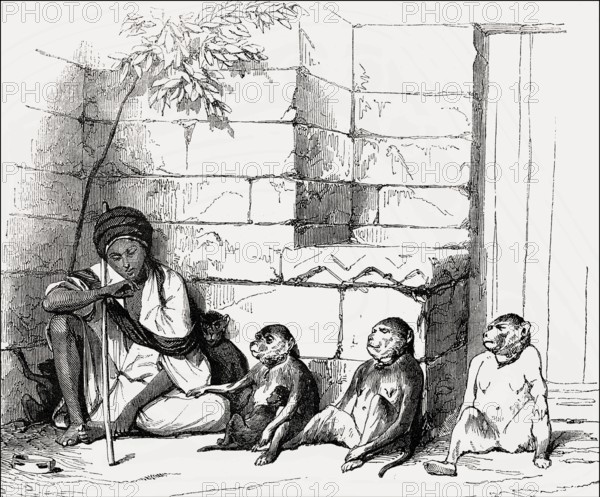 Monkey dealer, Cairo, Egypt, 19th Century