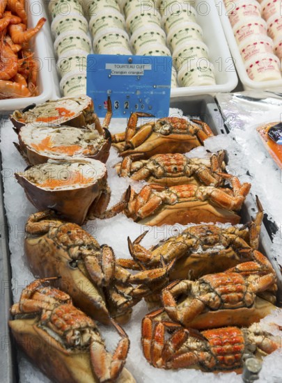 Fresh crabs and other seafood on ice presented on a market stall, fish market, Trouville-sur-Mer, Trouville, Normandy, France