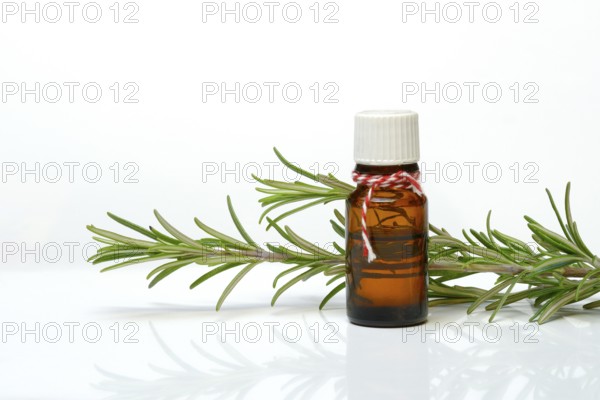 Rosemary oil in bottle and rosemary zest, medicinal plant