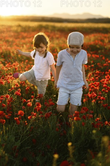 A young boy and girl, siblings, joyfully play in a vibrant field of Papaver rhoeas, commonly known as common poppy or red poppy. The warm sunlight bathes the scene, enhancing the vivid red of the flowers and the playful atmosphere