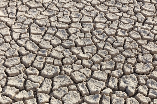 Cormorant Point, Galapagos, Ecuador